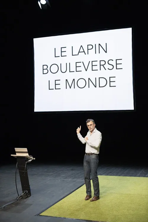 Affiche de Le Problème lapin