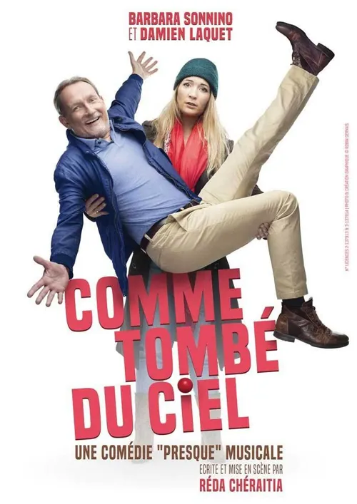 Affiche de Comme tombé du ciel