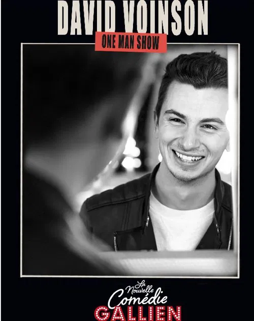Affiche de David Voinson