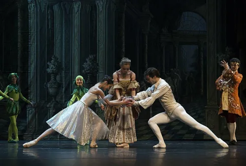 Photo 2 de La Princesse au petit pois