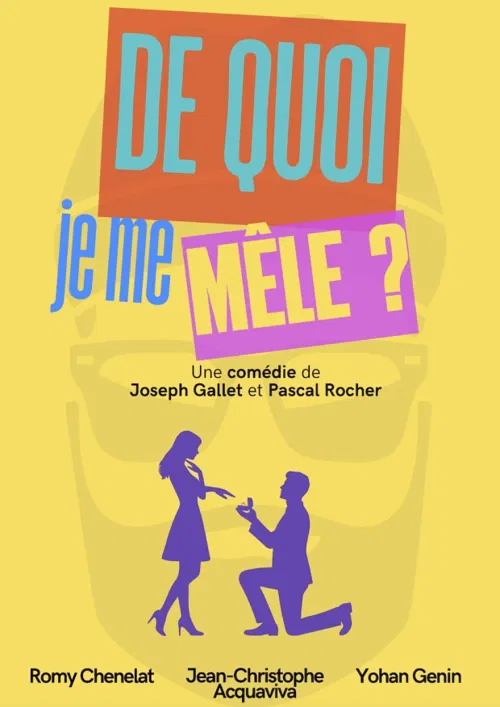 Affiche de De quoi je me mêle ?