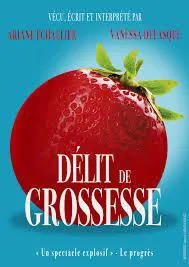 Affiche de Délit de grossesse