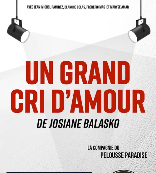 Affiche de Un grand cri d'amour