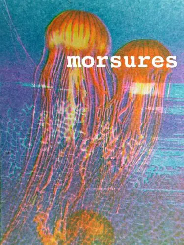 Affiche de Morsures