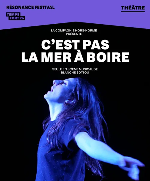 Affiche de C'est pas la mer à boire