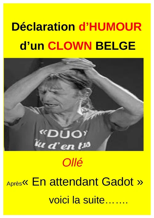 Affiche de Robert Sullon dans Déclaration d'humour d'un clown belge
