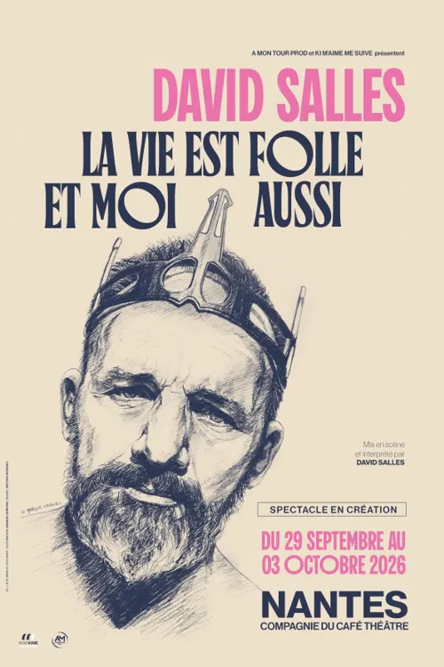 Affiche de David Salles dans La vie est folle et moi aussi