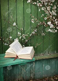 Alors c'est ça, lire ? - 