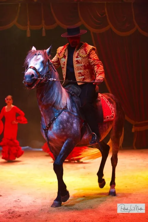 Photo 2 de Cirque Nicolas Zavatta Douchet dans Olé | Chartres
