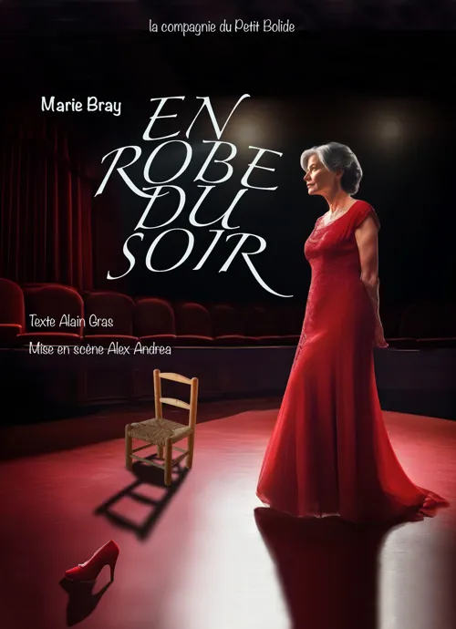 Affiche de En robe du soir