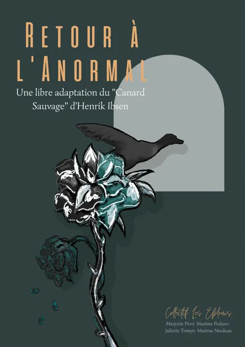 Affiche de Retour à l'anormal