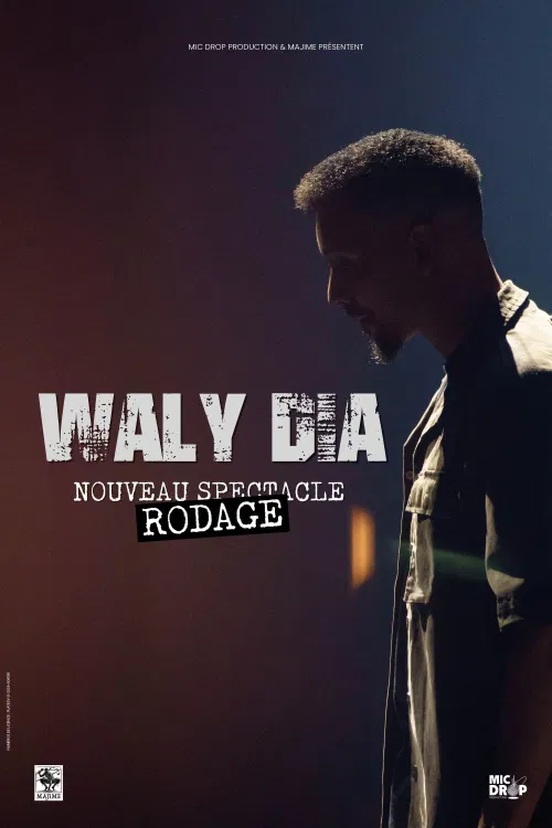 Affiche de Waly Dia : Nouveau spectacle en rodage