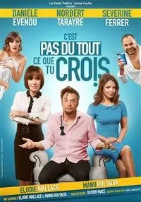 Affiche de C'est pas du tout ce que tu crois | avec Daniele Evenou, Norbert Tarayre