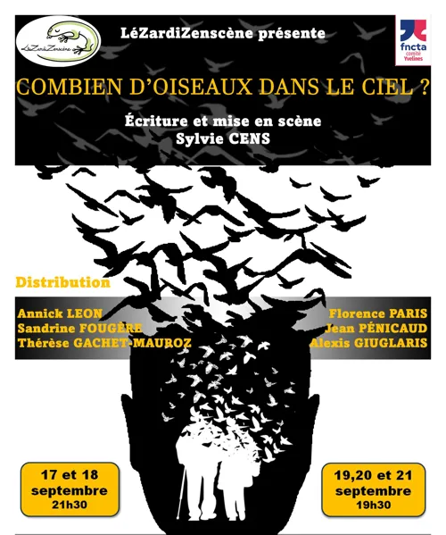 Affiche de Combien d'oiseaux dans le ciel ?