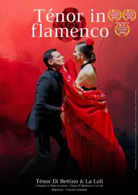 Ténor in flamenco - 
