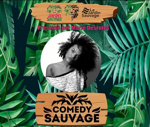 Affiche de Comedy Sauvage