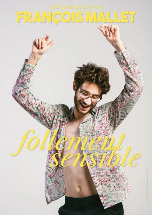 Affiche de François Mallet dans Follement Sensible