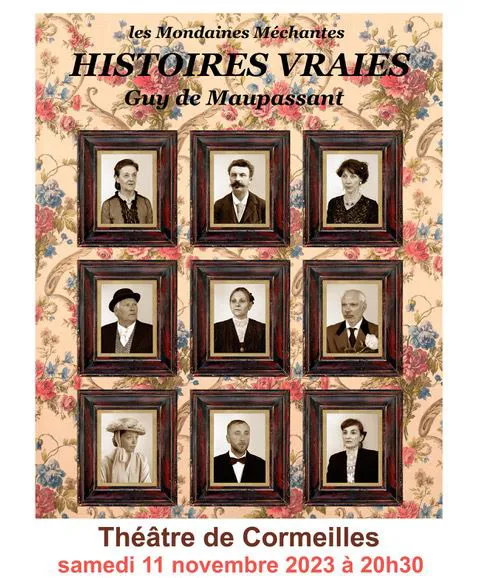 Affiche de Histoires vraies