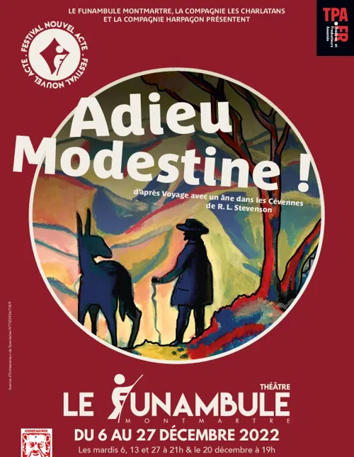 Affiche de Adieu, Modestine !