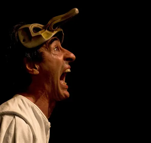 Affiche de Masterclass de Commedia dell'Arte : Les secrets d'Arlequin