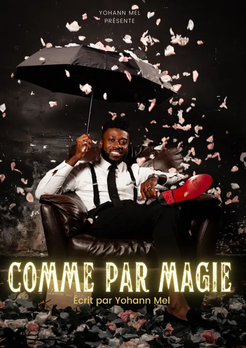 Affiche de Yohann Mel dans Comme par magie