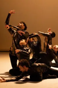 Rodin - 