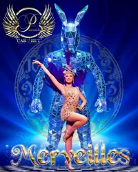 Revue Merveilles - 