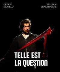 Affiche de Telle est la question