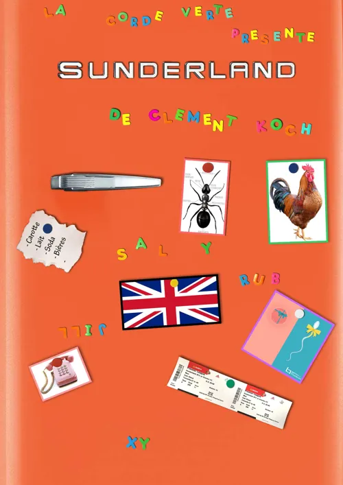 Affiche de Sunderland
