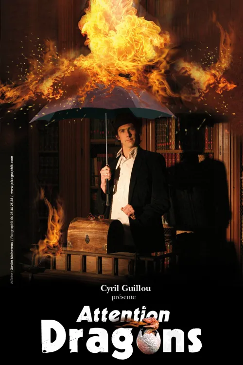 Affiche de Attention Dragons