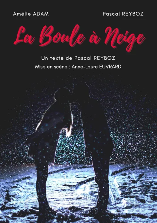Affiche de La boule à neige