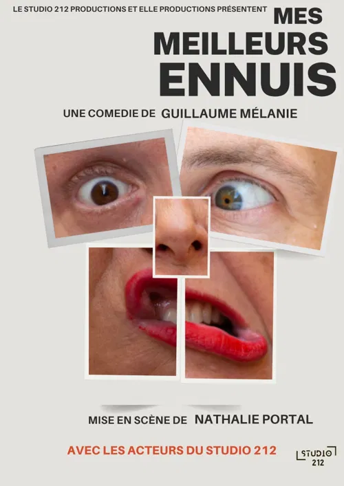 Affiche de Mes meilleurs ennuis