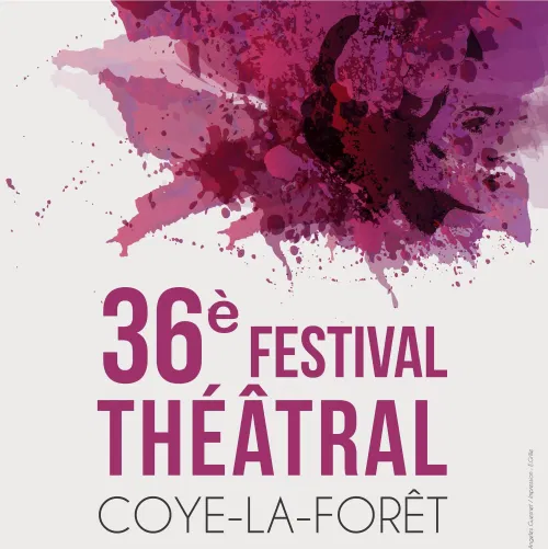 Affiche de L'Affaire Calas