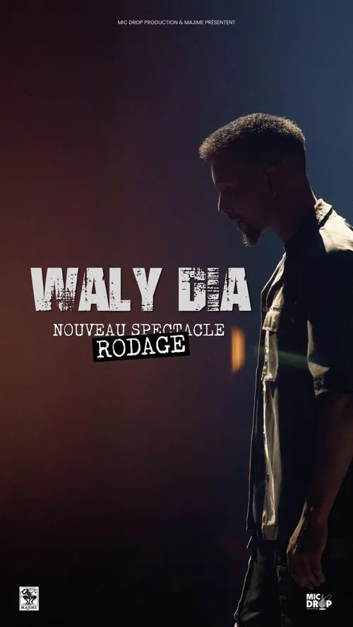 Affiche de Waly Dia dans Freestyle vol. 3