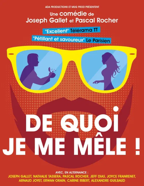 Affiche de De quoi je me mêle !