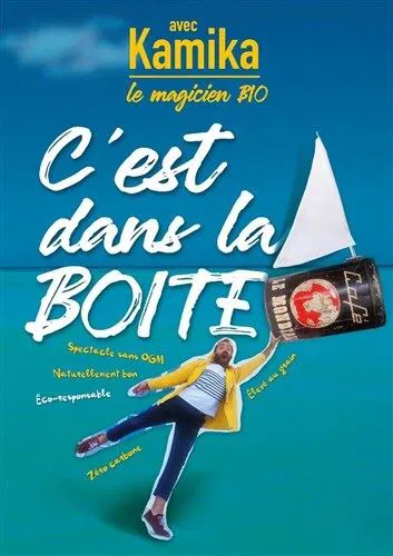 Affiche de C'est dans la boîte
