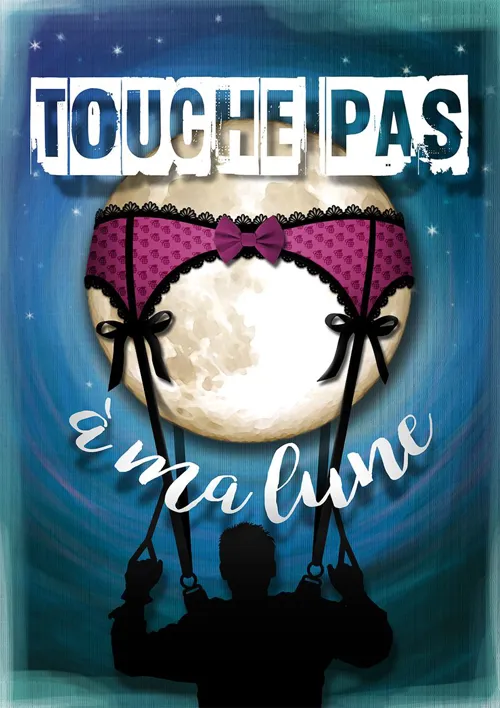 Affiche de Touche pas à ma lune !