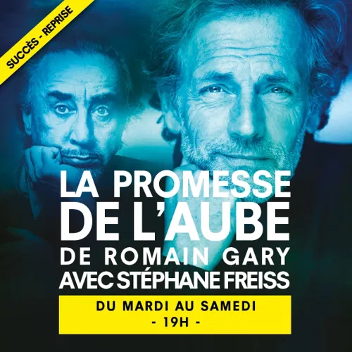 Affiche de La promesse de l'aube | par Stéphane Freiss