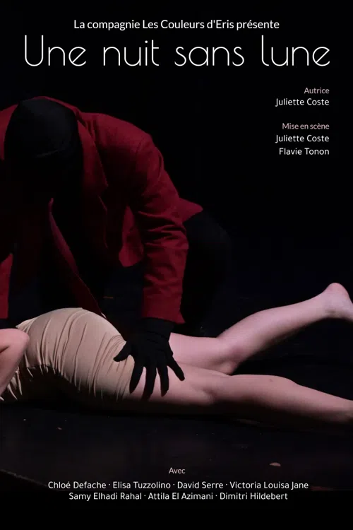 Affiche de Une nuit sans lune