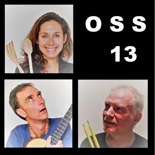 Affiche de OSS 13