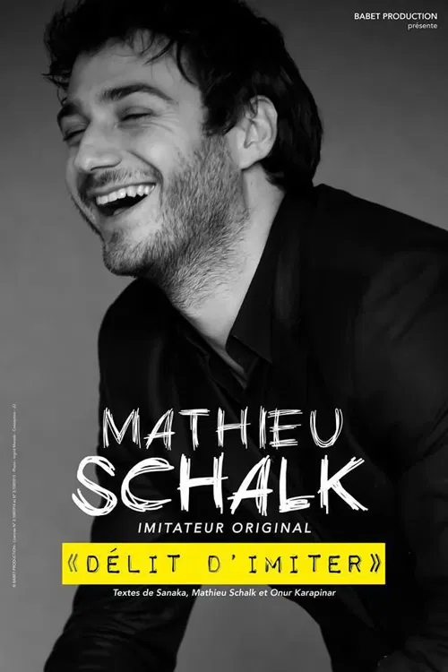 Affiche de Mathieu schalk dans Délit d'imiter