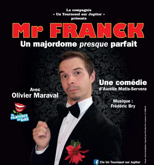 Affiche de Mr Franck, un majordome presque parfait