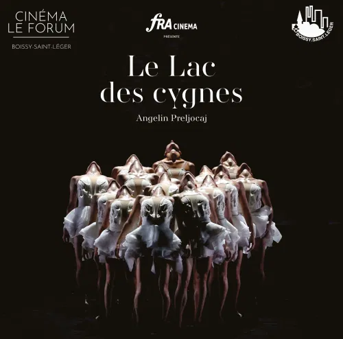 Affiche de Le lac des cygnes | Un dimanche à l'opéra