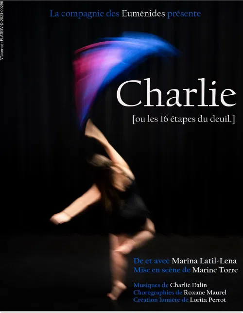 Affiche de Charlie, ou les 16 étapes du deuil