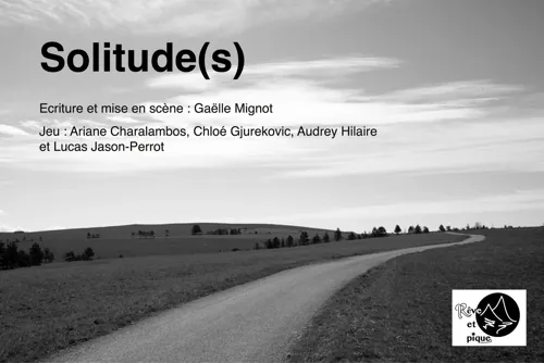 Affiche de Solitude(s)