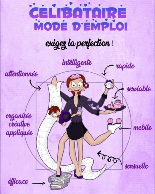 Affiche de Célibataire mode d'emploi