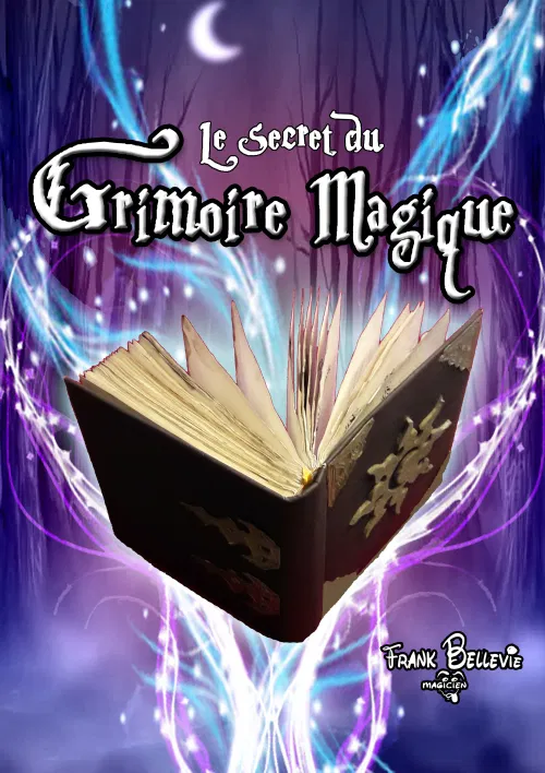 Affiche de Le secret du grimoire magique