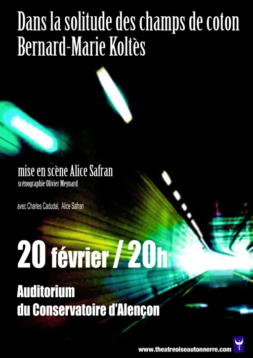 Affiche de Dans la solitude des champs de coton