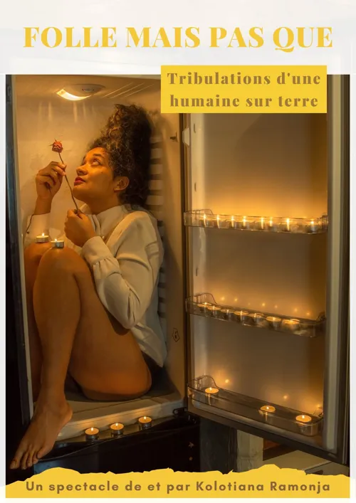 Affiche de Folle mais pas que