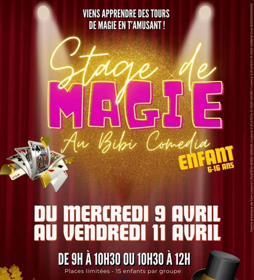 Affiche de Stage de Magie